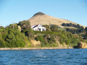 Captain Eady's Lookout, Dunedin